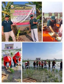 BPS Grobogan Attends National Rice Planting Movement Early MT I