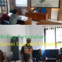 Agricultural Economic Survey Processing Briefin