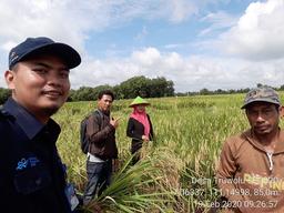 Tiled Survey, Measure of Agricultural Productivity